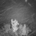 Webcam_20221205-203000