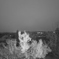 Webcam_20221206-073000