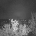 Webcam_20221214-051500