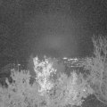Webcam_20221214-213000
