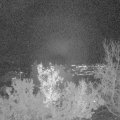 Webcam_20221215-193000
