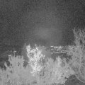 Webcam_20221215-201500