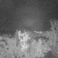 Webcam_20221216-181500