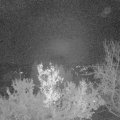 Webcam_20221217-051500