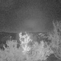Webcam_20221217-064500