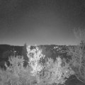 Webcam_20221217-070000
