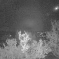 Webcam_20221218-051500