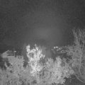 Webcam_20221219-061500