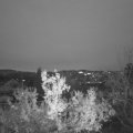 Webcam_20221219-074500