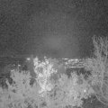 Webcam_20221220-184500