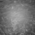 Webcam_20221221-064500