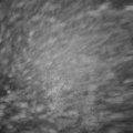 Webcam_20221221-074500
