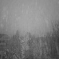 Webcam_20221221-080000