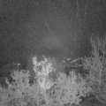 Webcam_20221222-053000