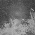 Webcam_20221227-054500