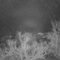 Webcam_20221228-063000