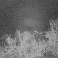 Webcam_20221229-053000