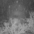 Webcam_20221230-051500
