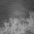 Webcam_20221230-054500