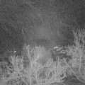 Webcam_20221230-070000