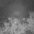 Webcam_20230101-050000