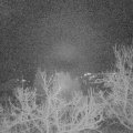 Webcam_20230101-060000