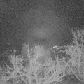 Webcam_20230101-061500