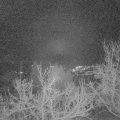Webcam_20230102-064500
