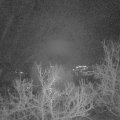 Webcam_20230103-061500