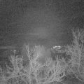 Webcam_20230103-064500