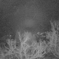 Webcam_20230108-064500
