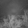 Webcam_20230108-070000