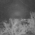 Webcam_20230108-181500