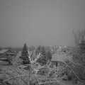 Webcam_20230119-173000