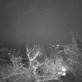 Webcam_20230119-201500