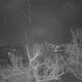 Webcam_20230121-214500