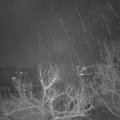 Webcam_20230121-220000