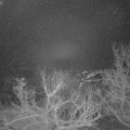 Webcam_20230122-053000