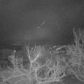 Webcam_20230122-063000