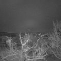 Webcam_20230122-071500