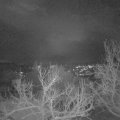 Webcam_20230123-070000