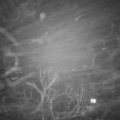 Webcam_20230125-201500