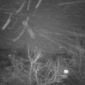 Webcam_20230125-203000