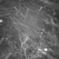 Webcam_20230126-204500