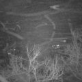 Webcam_20230126-220000