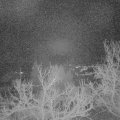 Webcam_20230129-060000
