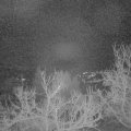 Webcam_20230129-064500