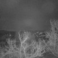 Webcam_20230129-070000