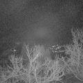Webcam_20230131-054500
