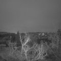 Webcam_20230131-071500